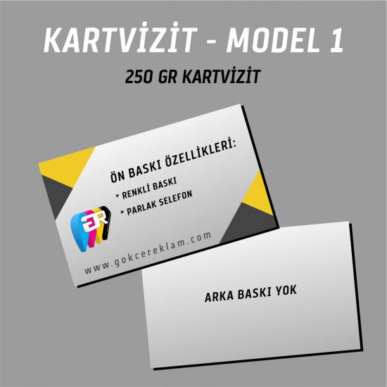 950 Adet Kartvizit - Model 1