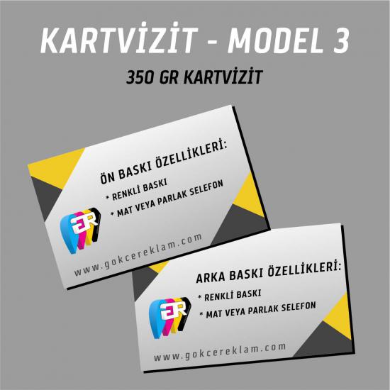 950 Adet Kartvizit - Model 3