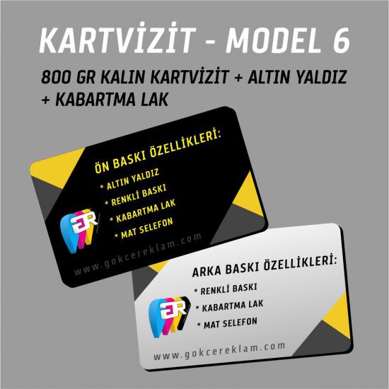 950 Adet Kartvizit - Model 6